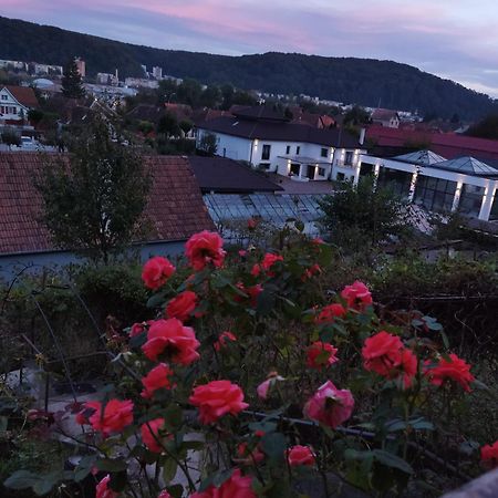 Casa Adam Hotell Sighişoara Eksteriør bilde